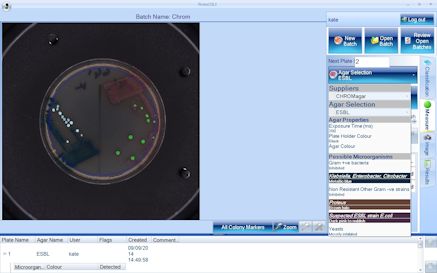 Chromogenic%2BID.jpg